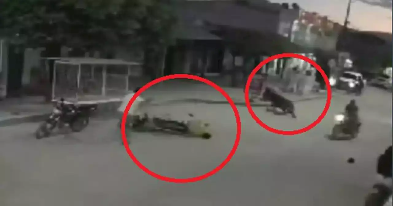 Impactante video: caballo desbocado embistió a motociclista en Pueblo Bello, Cesar