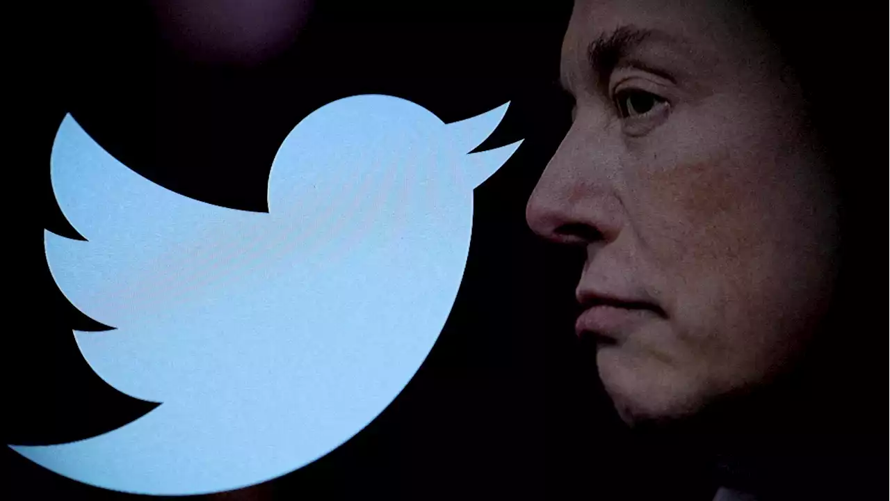 Twitter potrebbe perdere l’uccellino. Musk pensa di cambiare logo