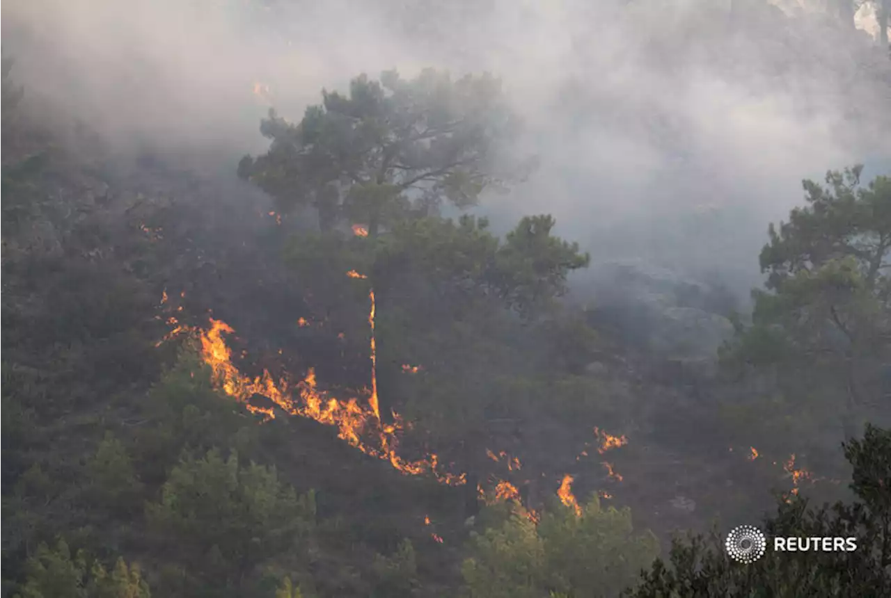 Rhodes wildfire forces thousands of evacuations, tourists flee