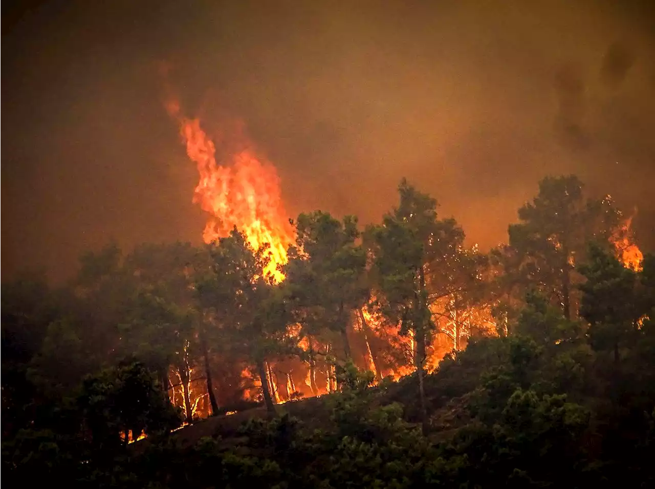 Jet2, Tui, and Thomas Cook cancel flights to Rhodes as devastating wildfires rage on