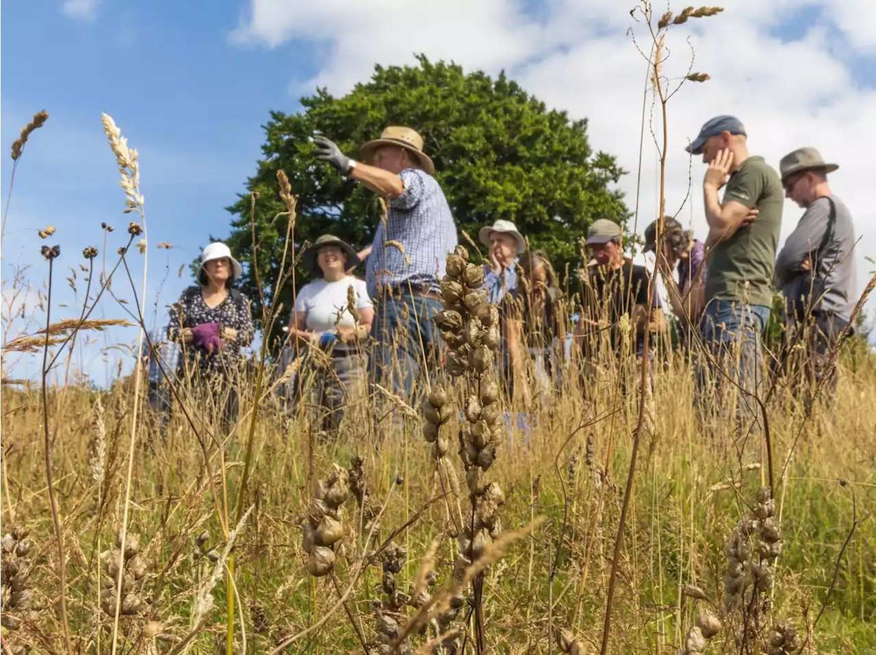 Love Nature Festival aims to connect Shropshire people with their surroundings