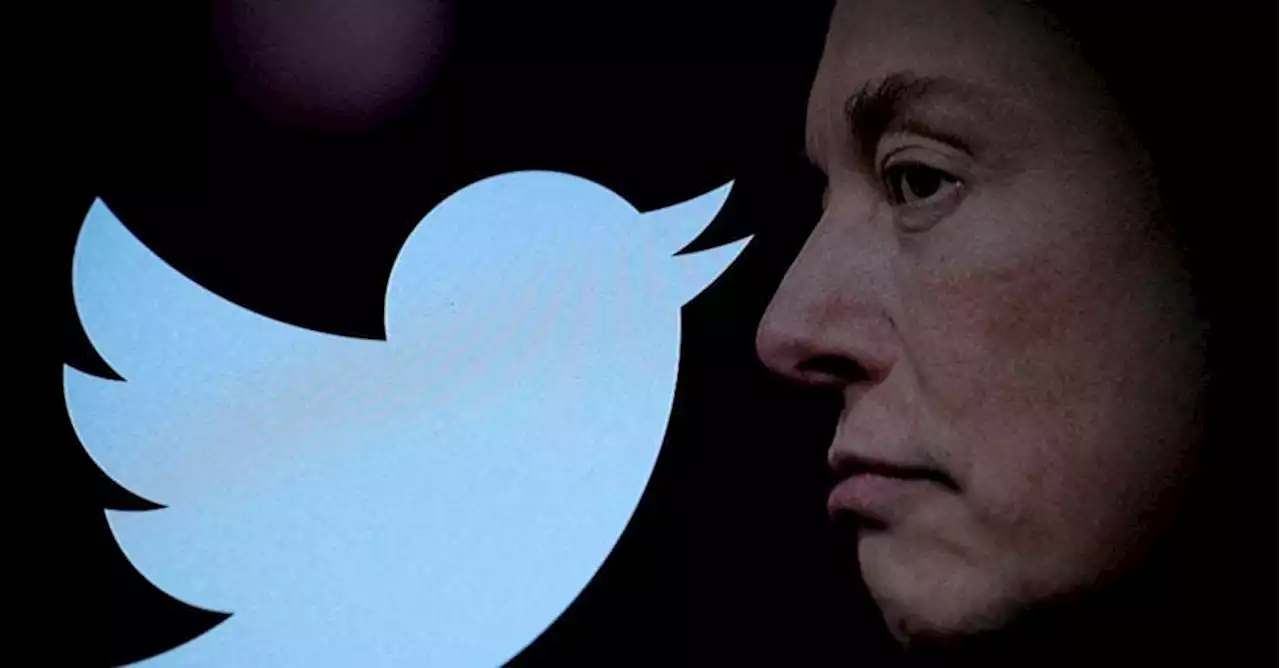 Twitter, Musk: «Addio uccellino, da stasera il nuovo logo sarà una X»