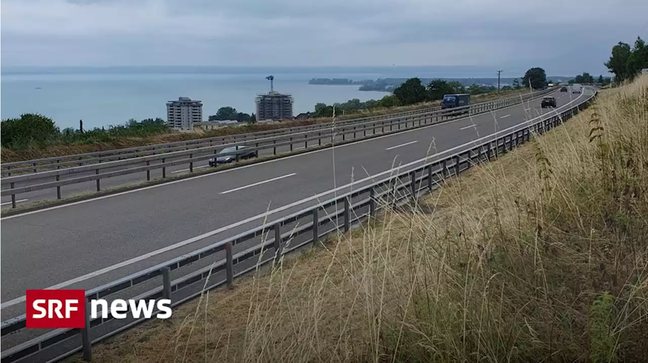 Biodiversität an Autobahnen - So werden Grünflächen neben Autobahnen vielfältiger