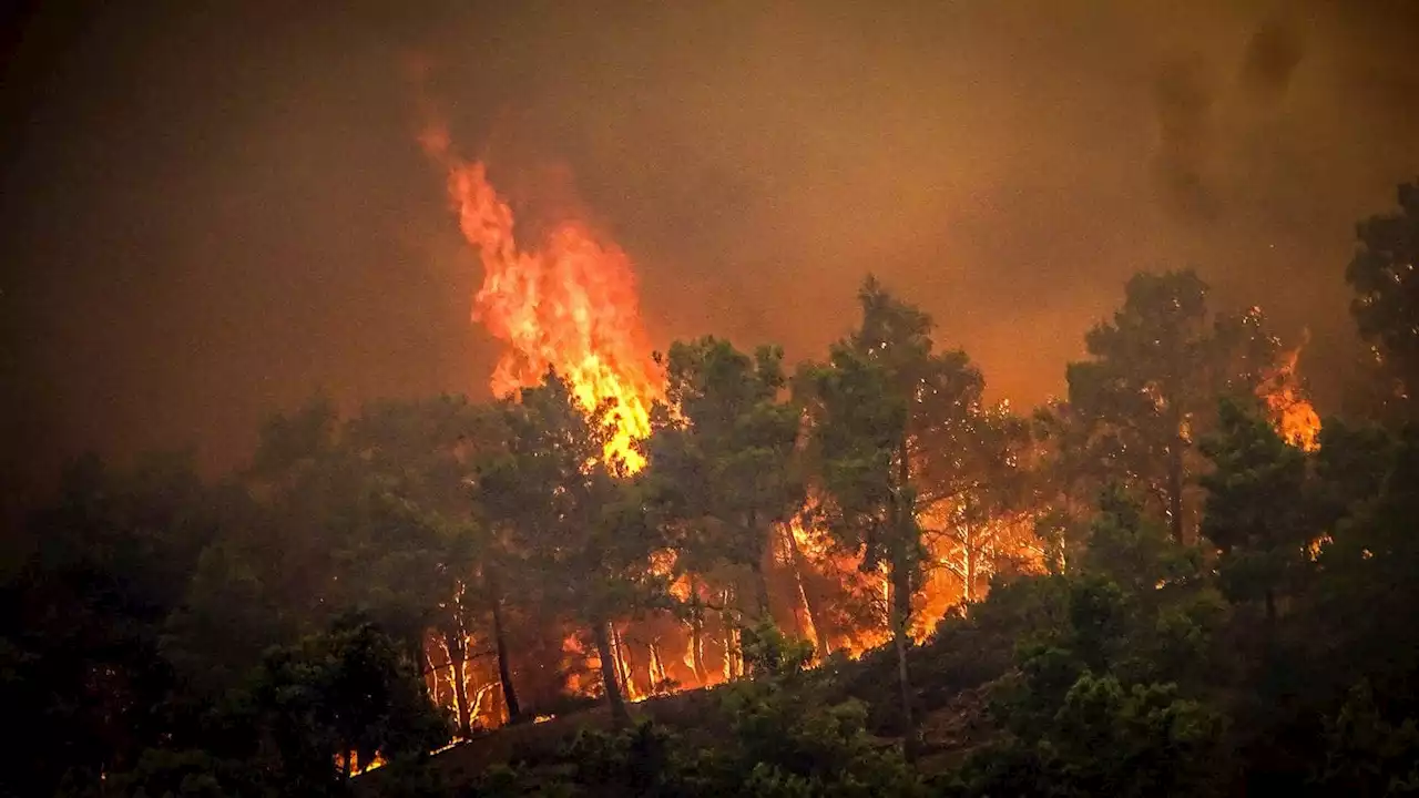 Bei 45 Grad Hitze: So schlimm wüten die Waldbrände auf Rhodos