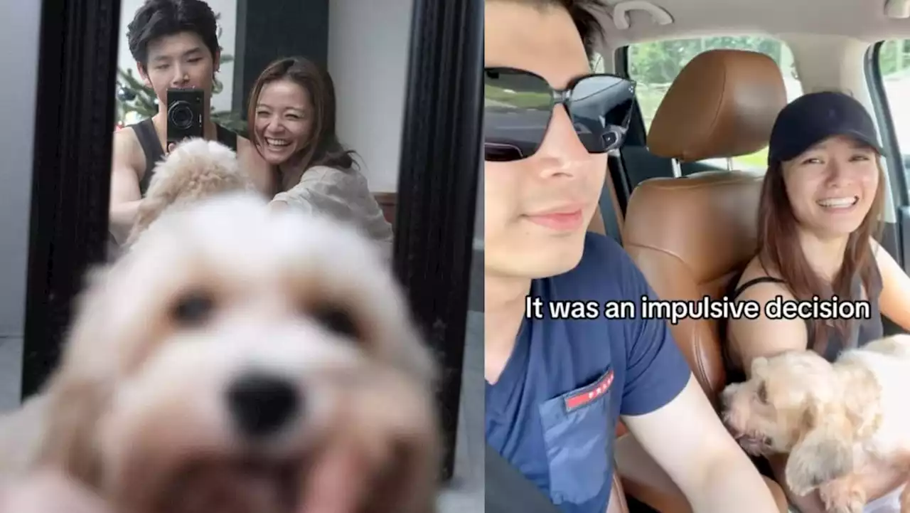 Shawn Thia let fiancée Xenia Tan leash him and walk in public to assure their rescue dog that the leash is not scary