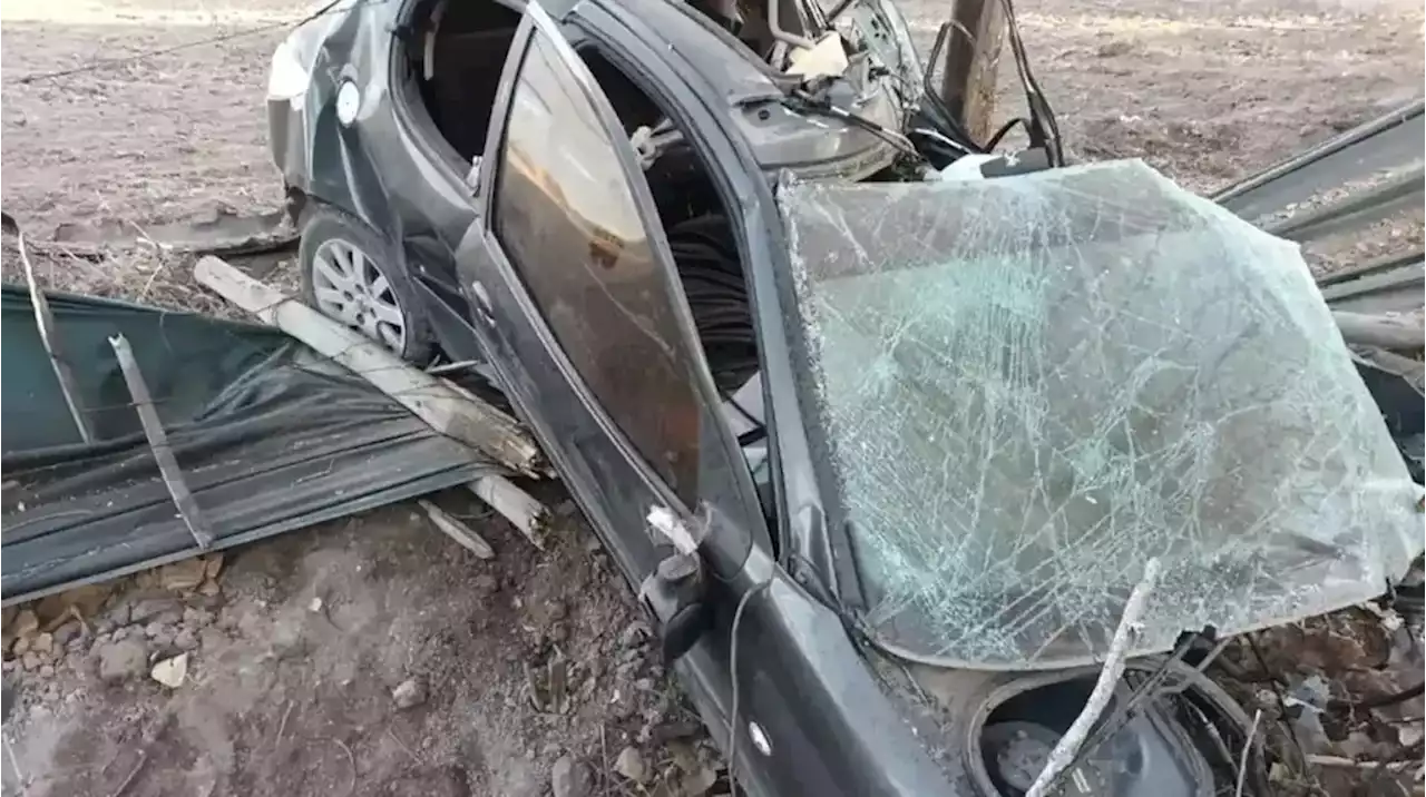 Imágenes impactantes: dos hombres murieron en Mendoza luego de chocar contra un poste de telefonía y un árbol