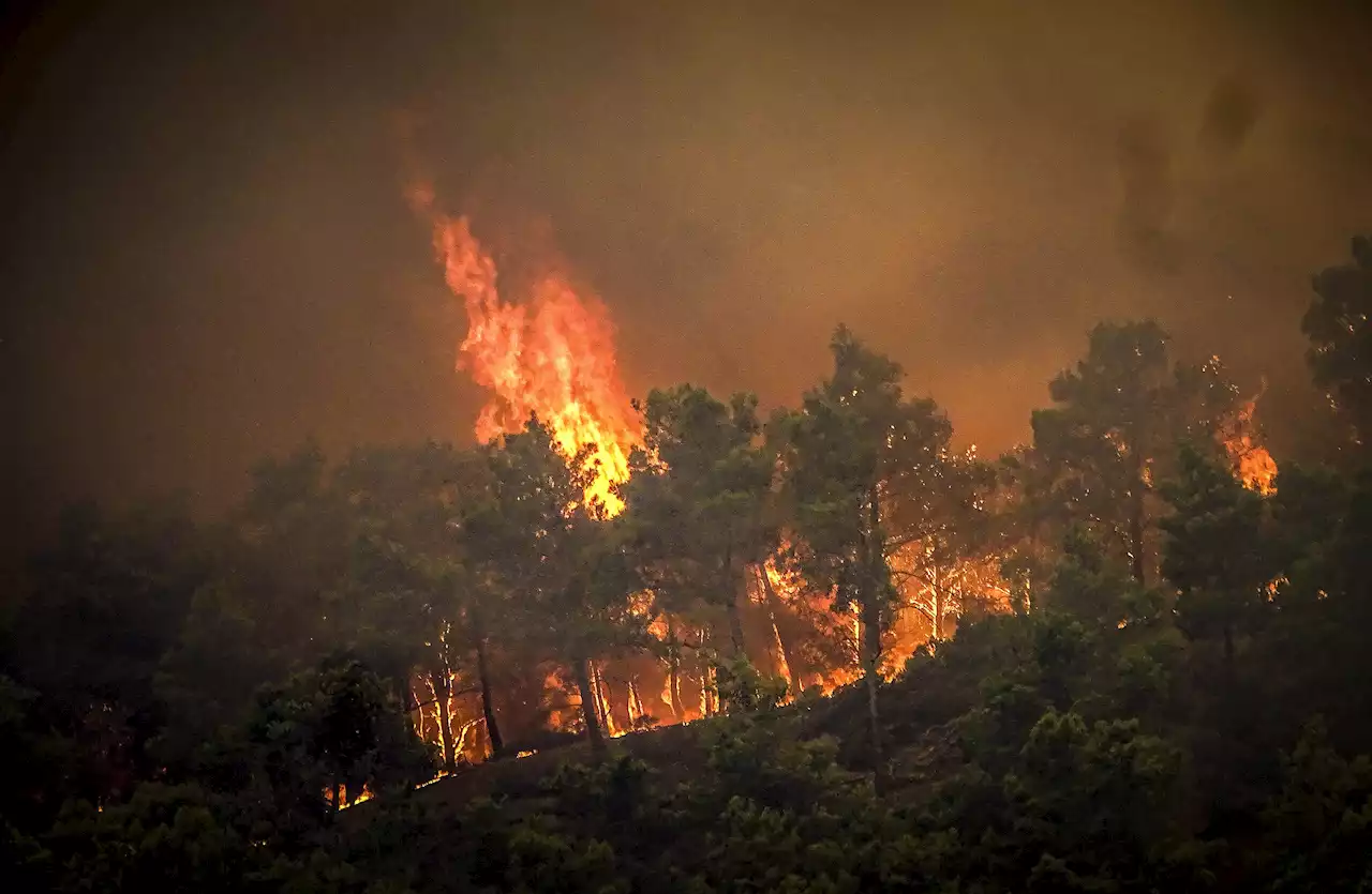 Fick lämna sitt hem på Rhodos: 'Skrämmande'