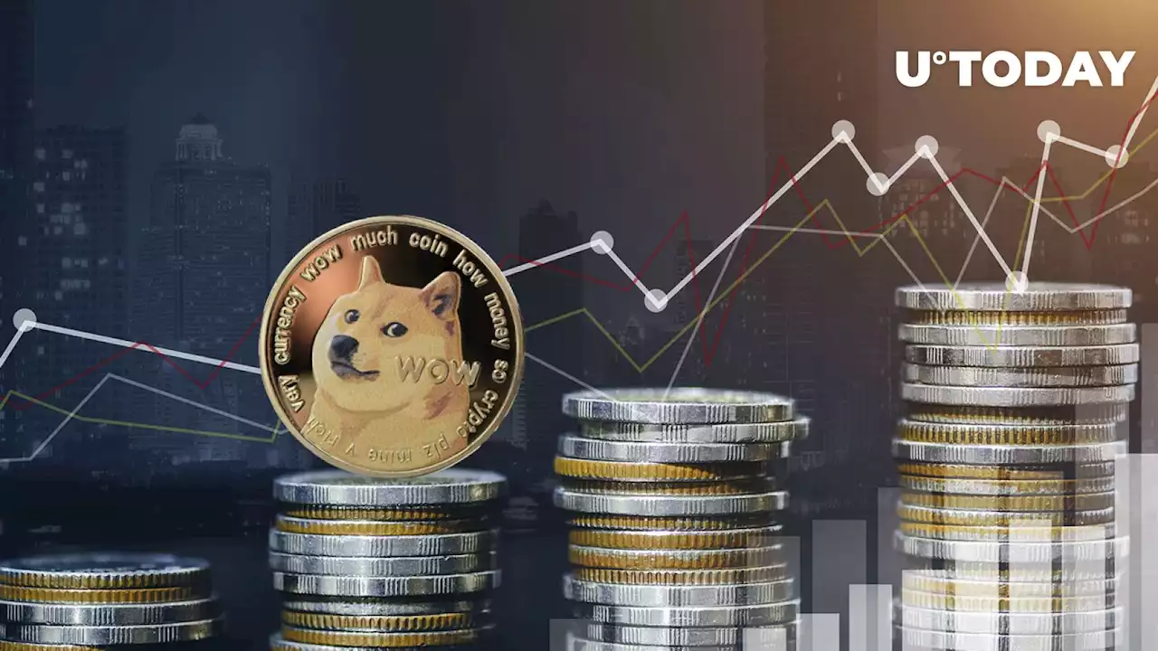 Dogecoin (DOGE) Whales Are Active, Here's How Much They Moved WTD