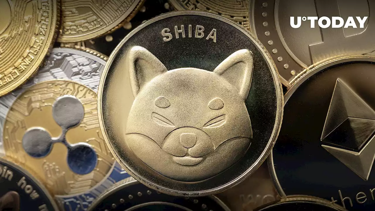 Large Shiba Inu Holders Witness Jaw-Dropping 923% Surge in SHIB Outflows Overnight