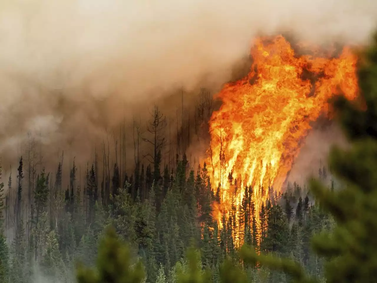 B.C. Climate News: Scientists alarmed by heat records | Coroner investigates how boy's death is linked to wildfire smoke | Tofino faces water crisis as drought grips B.C.