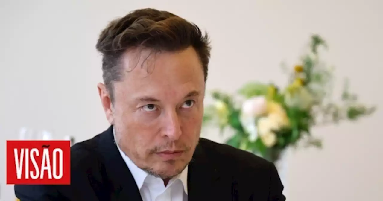 Visão | Elon Musk pondera alterar nome e logótipo da rede social Twitter