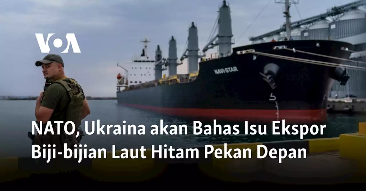 NATO, Ukraina akan Bahas Isu Ekspor Biji-bijian Laut Hitam Pekan Depan