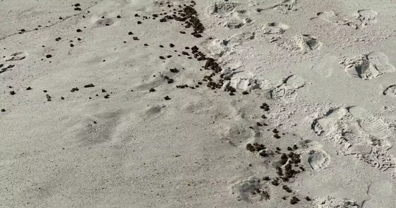 High tide: 'Large quantity' of marijuana washes up on Florida beach