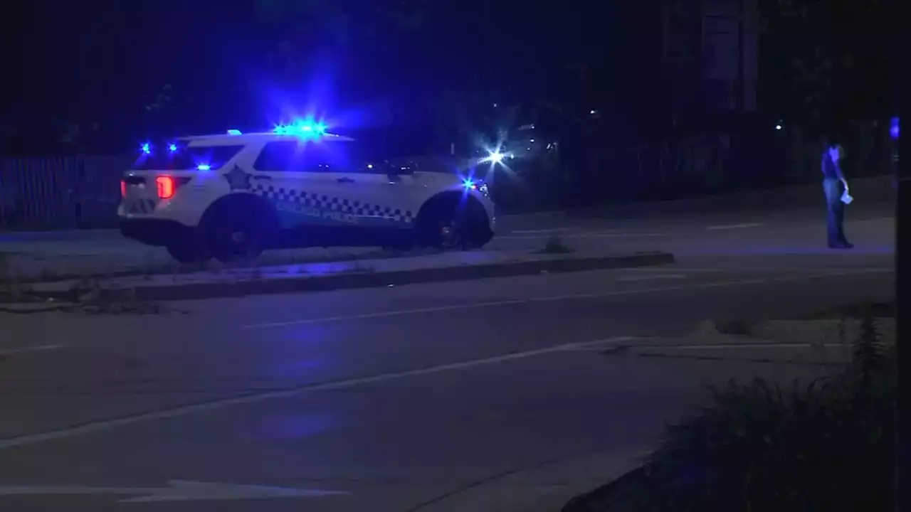 Shots fired at Chicago's 31st Street Beach as police respond to disturbance, CPD says