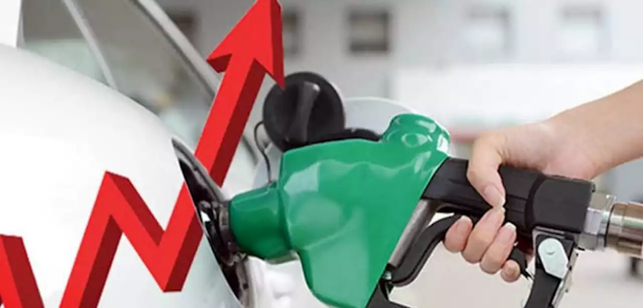 حکومت پیٹرولیم مارجن میں کتنا اضافہ کر رہی ہے؟