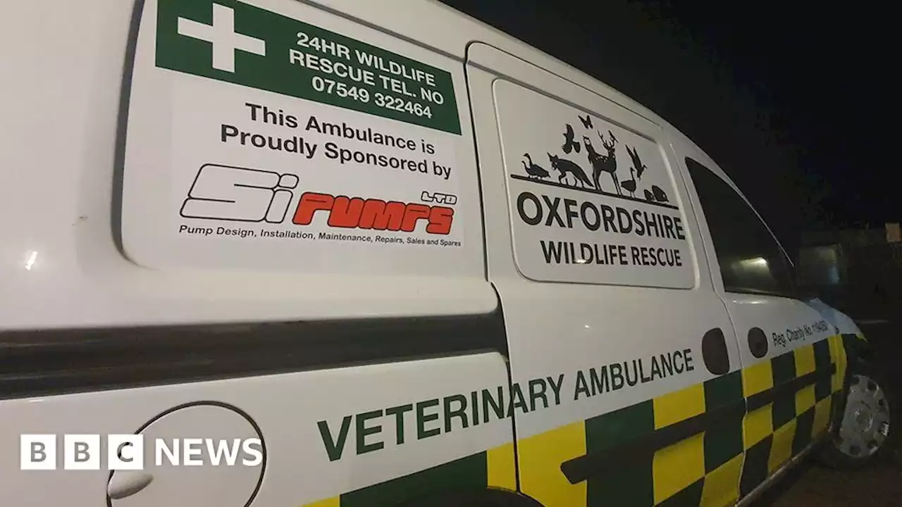 Oxfordshire Wildlife Rescue says it needs second animal ambulance