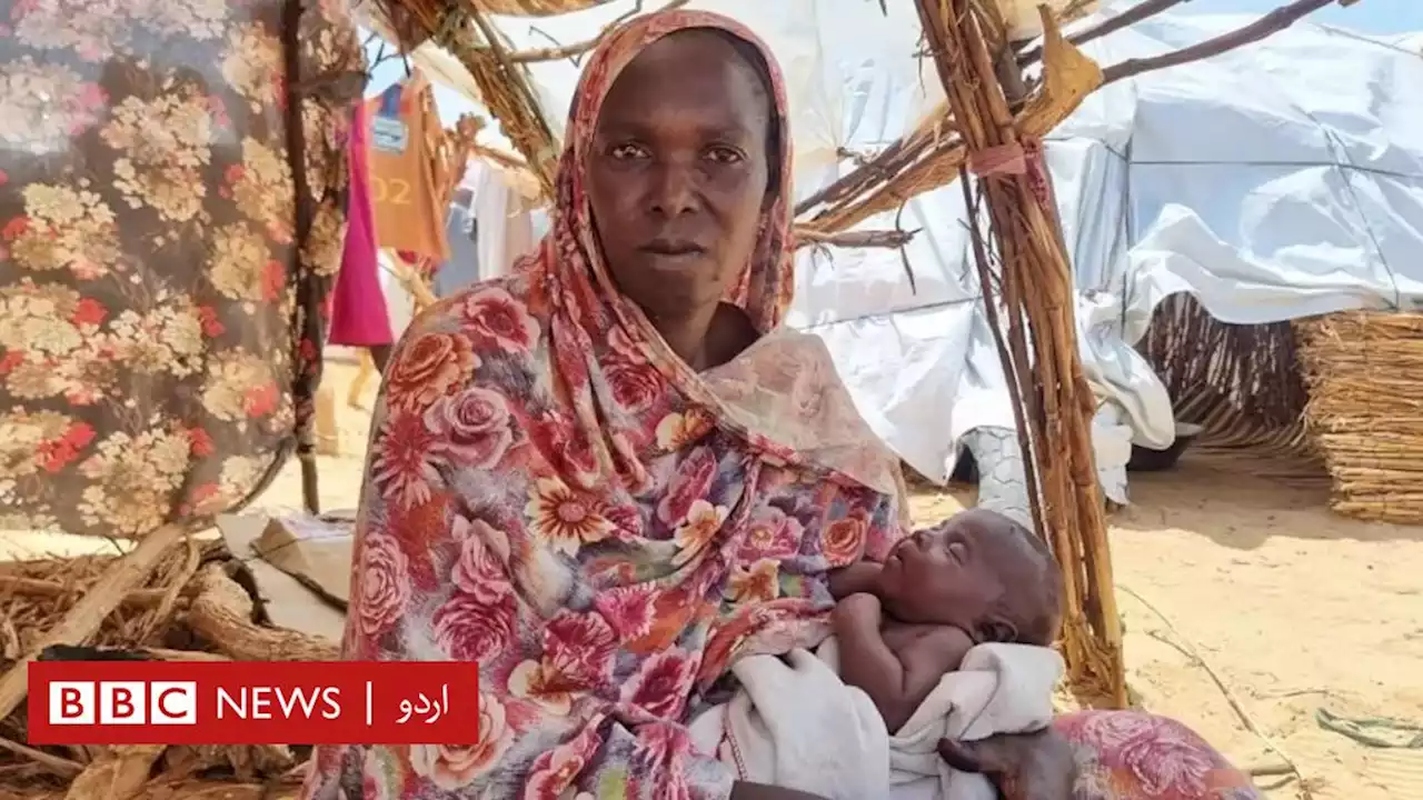 دارفور کے دہشت انگیز مناظر: تین بیٹوں کے قتل کے بعد ریڈیو پریزینٹر نے سر راہ بچے کو جنم دیا - BBC News اردو
