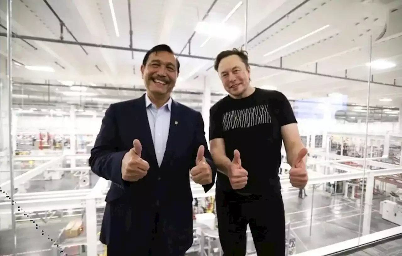 Luhut Temui Elon Musk Bulan Depan Bahas Investasi Mobil Listrik