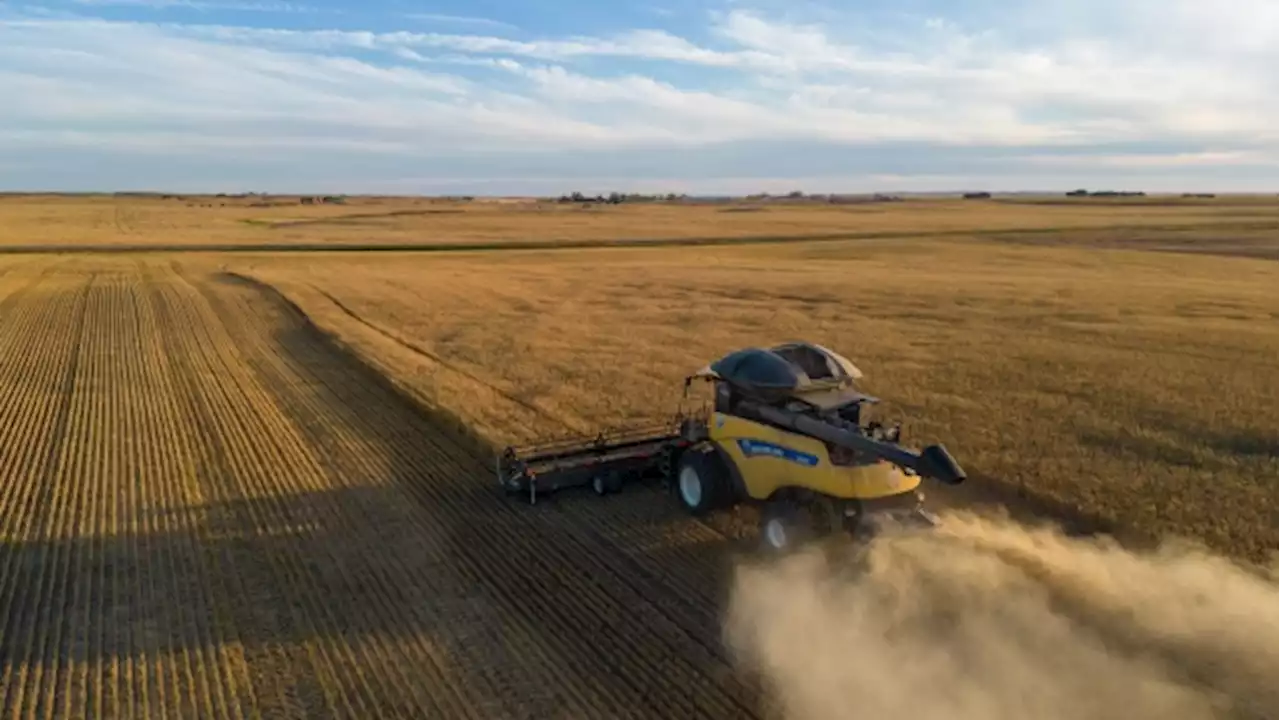 Federal farm lender says financial help coming for farmers affected by Western Canada drought - BNN Bloomberg