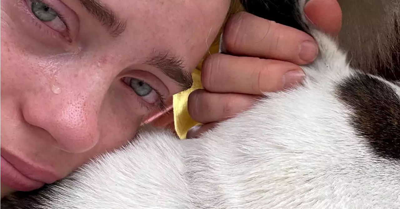 Billie Eilish Is Mourning The Heartbreaking Loss Of Her Childhood Dog Pepper