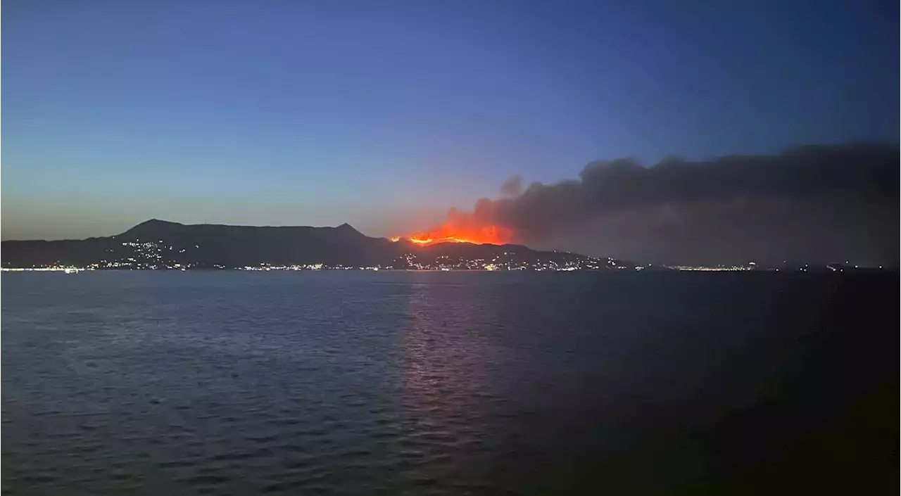 Heftige Waldbrände auch auf Korfu