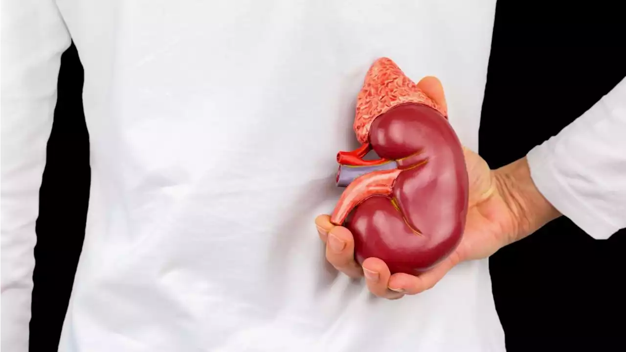 A little loss of kidney function could carry big health risks: study