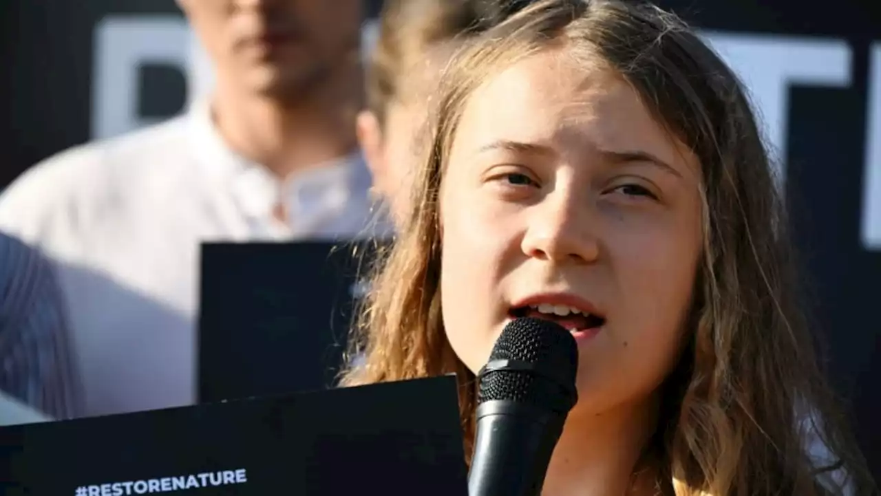 Greta Thunberg goes on trial over Swedish climate protest