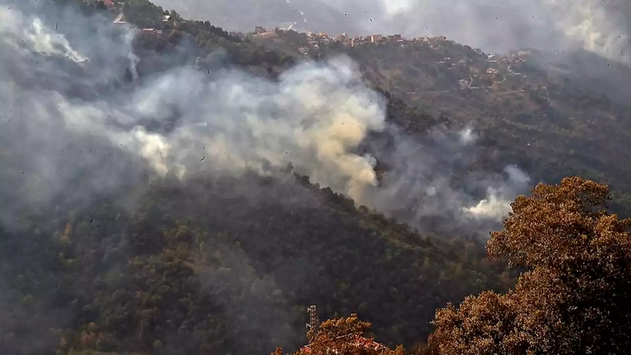 Algérie : au moins 15 morts et 26 blessés dans des incendies