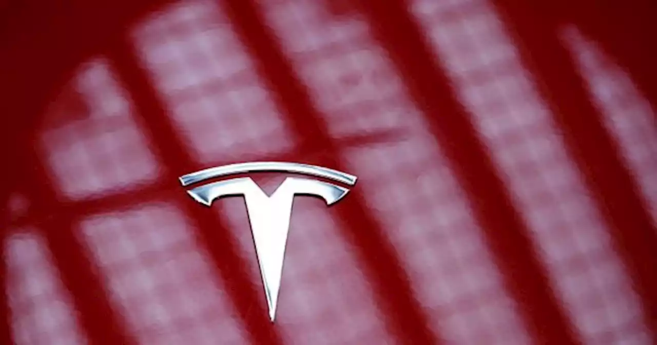 Tesla ofrece el EMPLEO DE TU VIDA: es para argentinos y paga en D�LARES