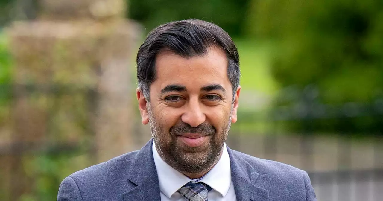 Humza Yousaf could face leadership challenge from SNP activist in IndyRef2 row