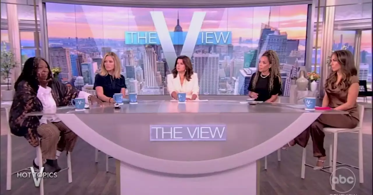 The View blasts Ron DeSantis's stance on black history: 'That's why you're 30 points down'