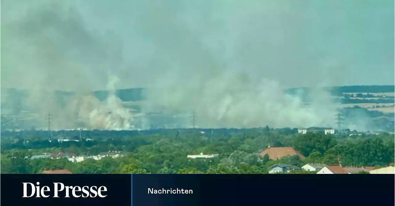 Feuerwehr bei Waldbrand nahe der Wiener Stadtgrenze im Einsatz