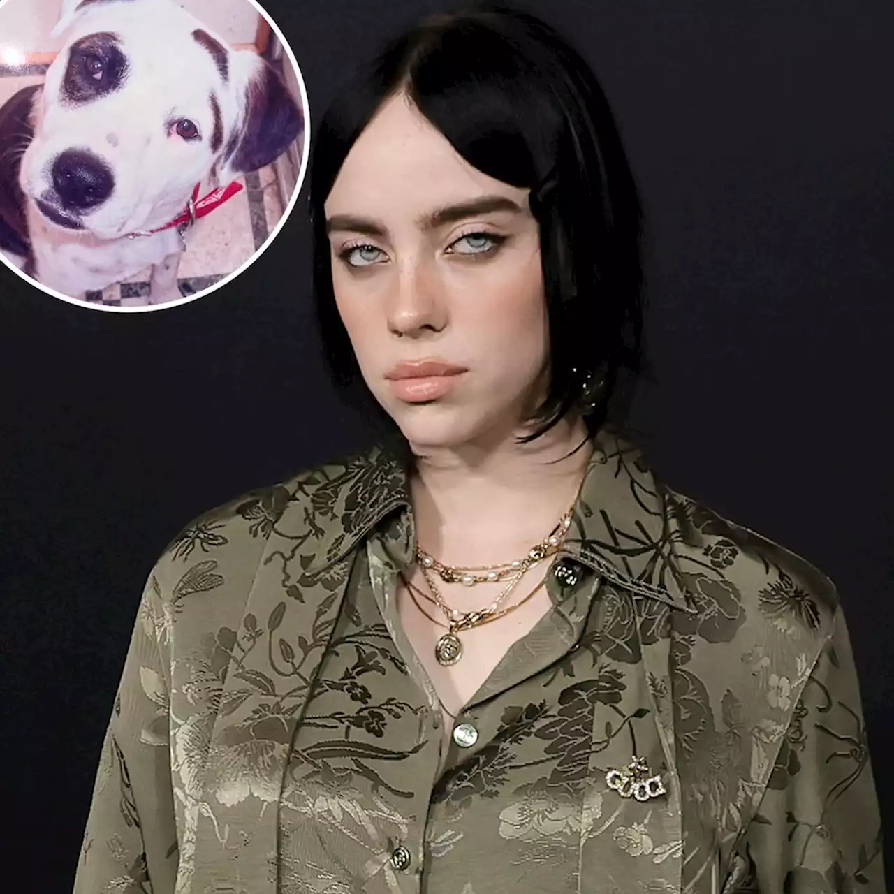 Billie Eilish Mourns Death of Beloved Dog Pepper - E! Online