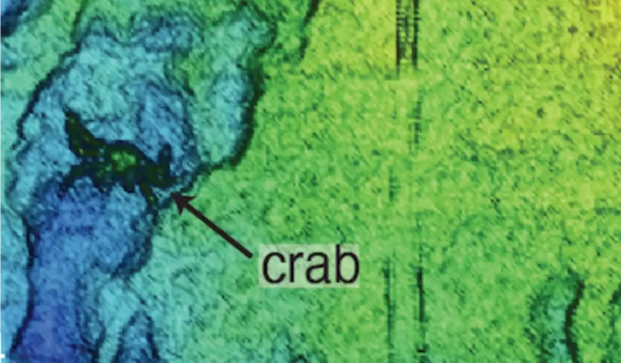 New Scan of Seafloor Is So Detailed, You Can See an Individual Crab