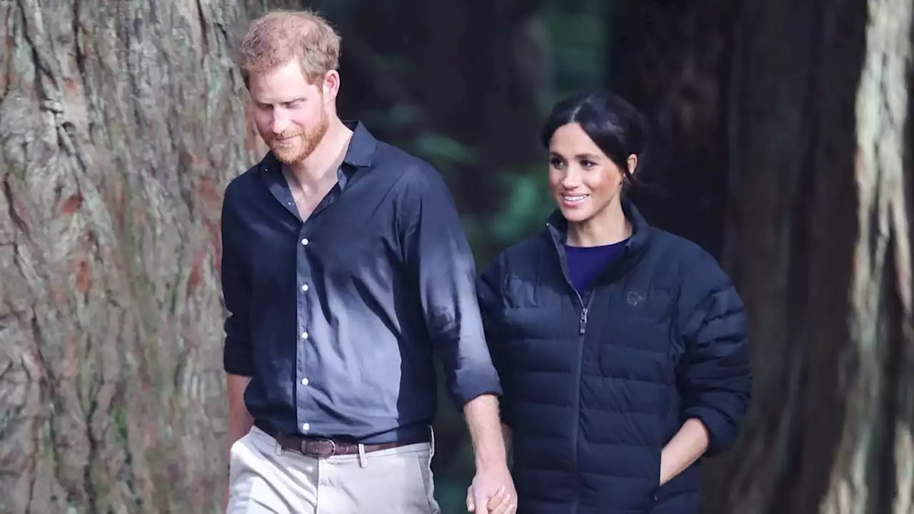 Prince Harry shares sweet bonding moment with daughter Lilibet during walk around his garden