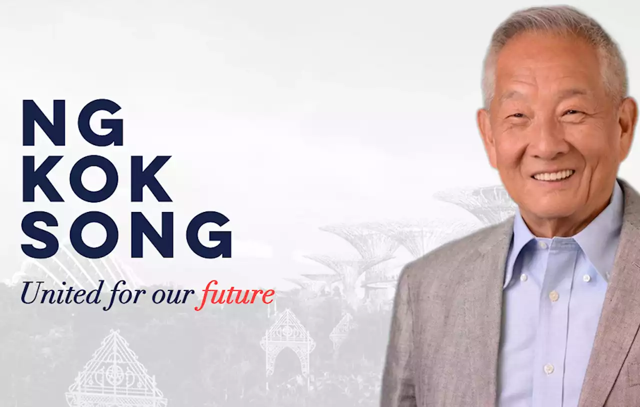 Presidential aspirant Ng Kok Song clarifies distinction between establishment and government - Singapore News