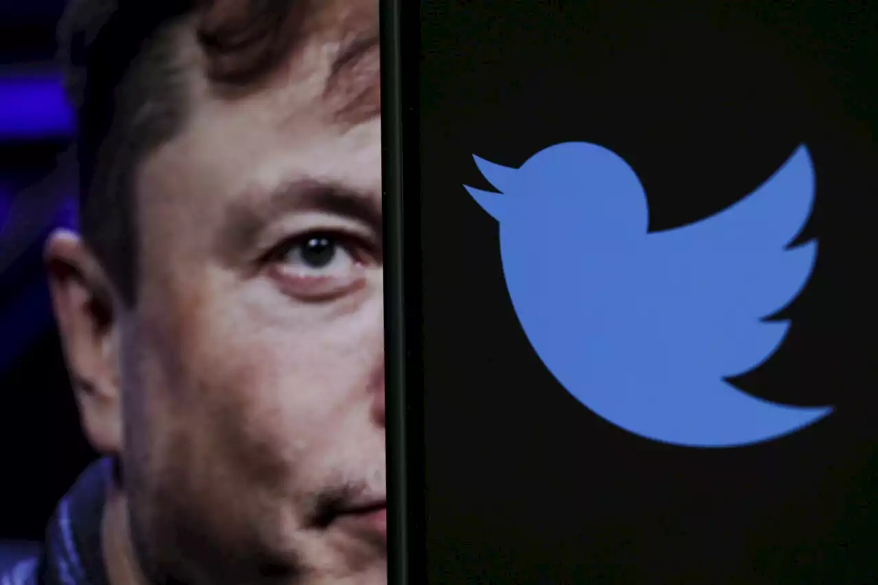 Twitter dice addio al suo simbolo: l'uccellino blu va in pensione - iO Donna