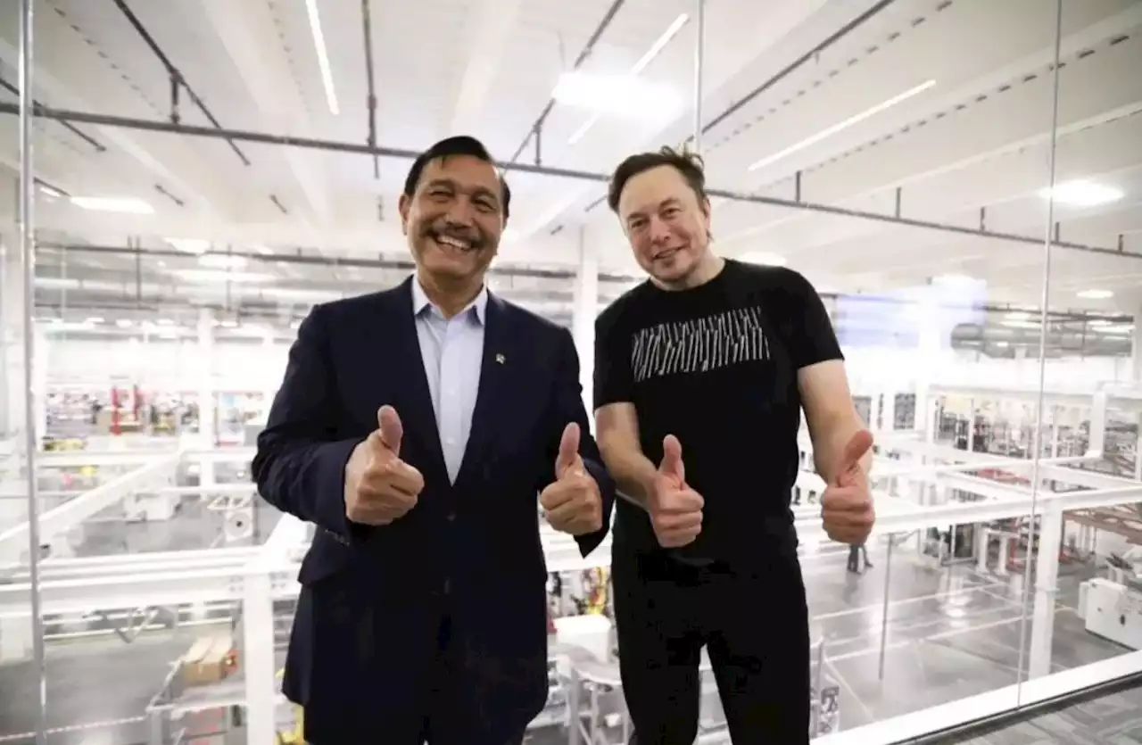 Bakal Bertemu Elon Musk Awal Bulan Depan, Luhut Binsar: Kami Mau Finalkan