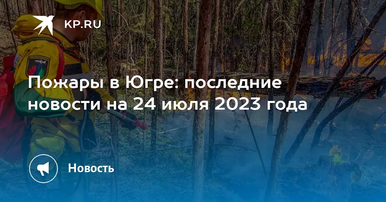 Пожары в Югре: последние новости на 24 июля 2023 года