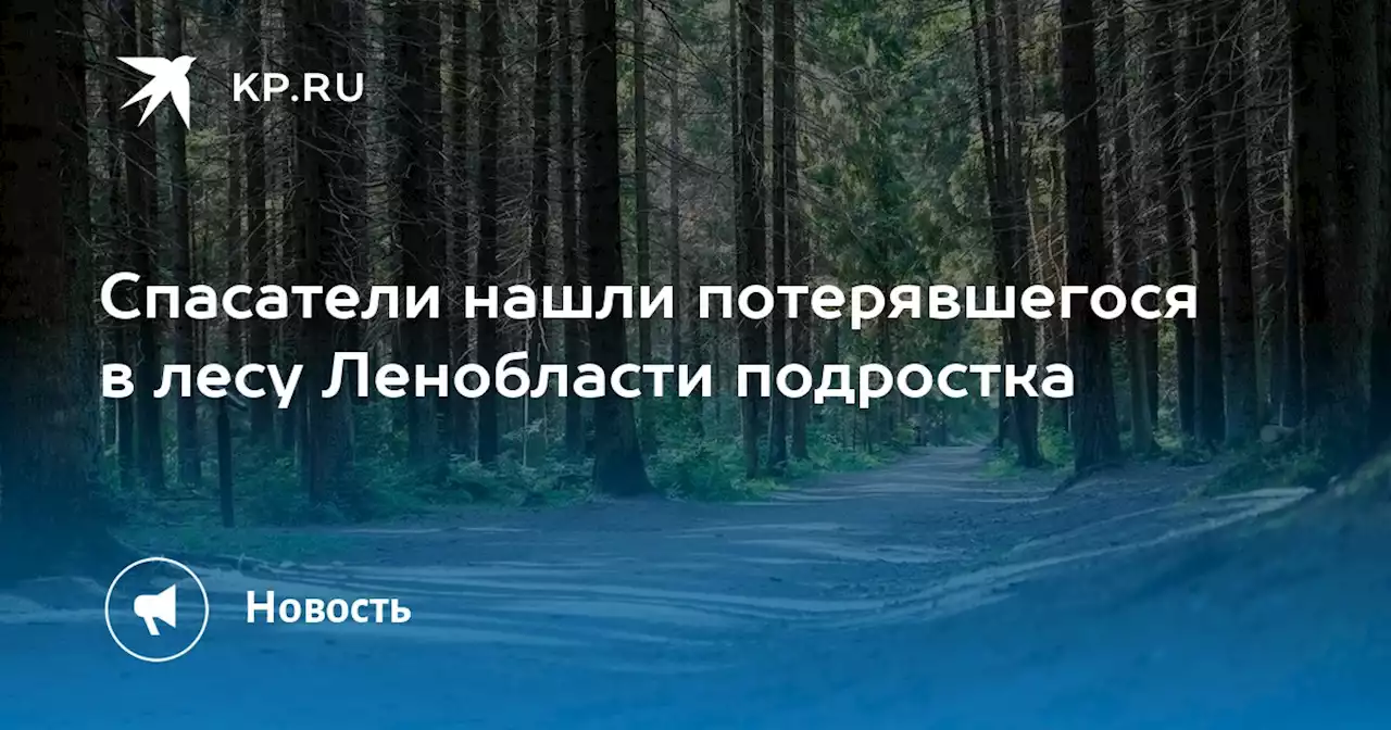 Спасатели нашли потерявшегося в лесу Ленобласти подростка