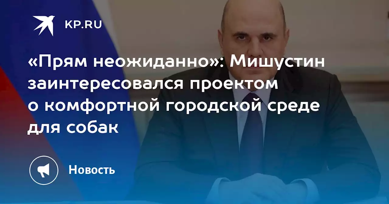 «Прям неожиданно»: Мишустин заинтересовался проектом о комфортной городской среде для собак