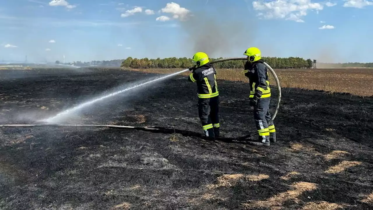 Felderbrand nahe Wien: Polizei nennt Ursachen