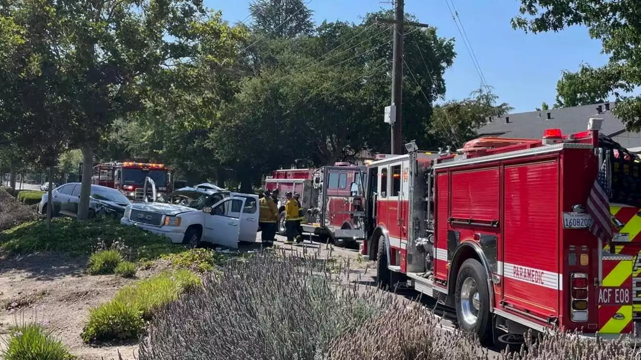 Winery owner dies in East Bay crash