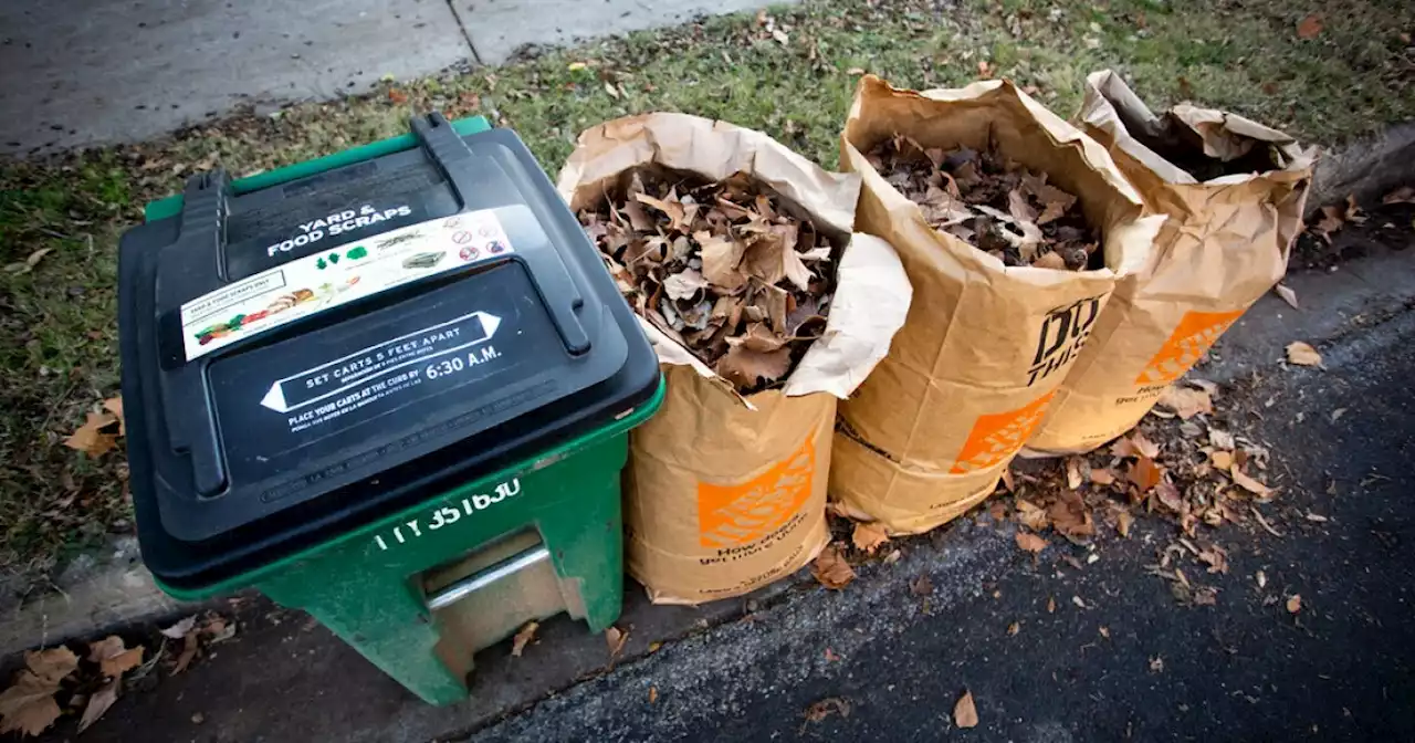 Tired of wasting food? Here's how to start composting in Austin.