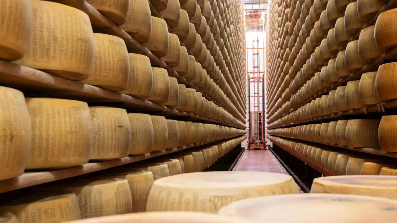 C’è il caveau più misterioso del mondo, quello più sicuro ma anche quello più ricco e profumato: vale quasi 300 milioni ed è quello del parmigiano