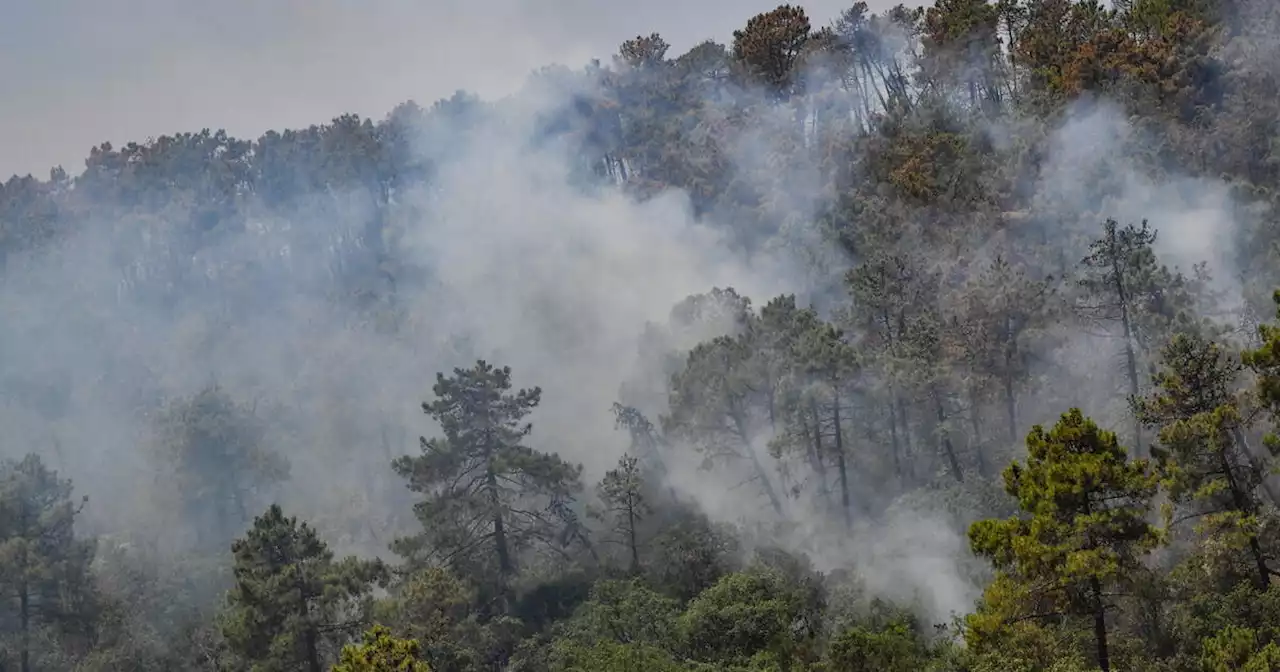 En Algérie, au moins 15 morts et 26 blessés dans des incendies