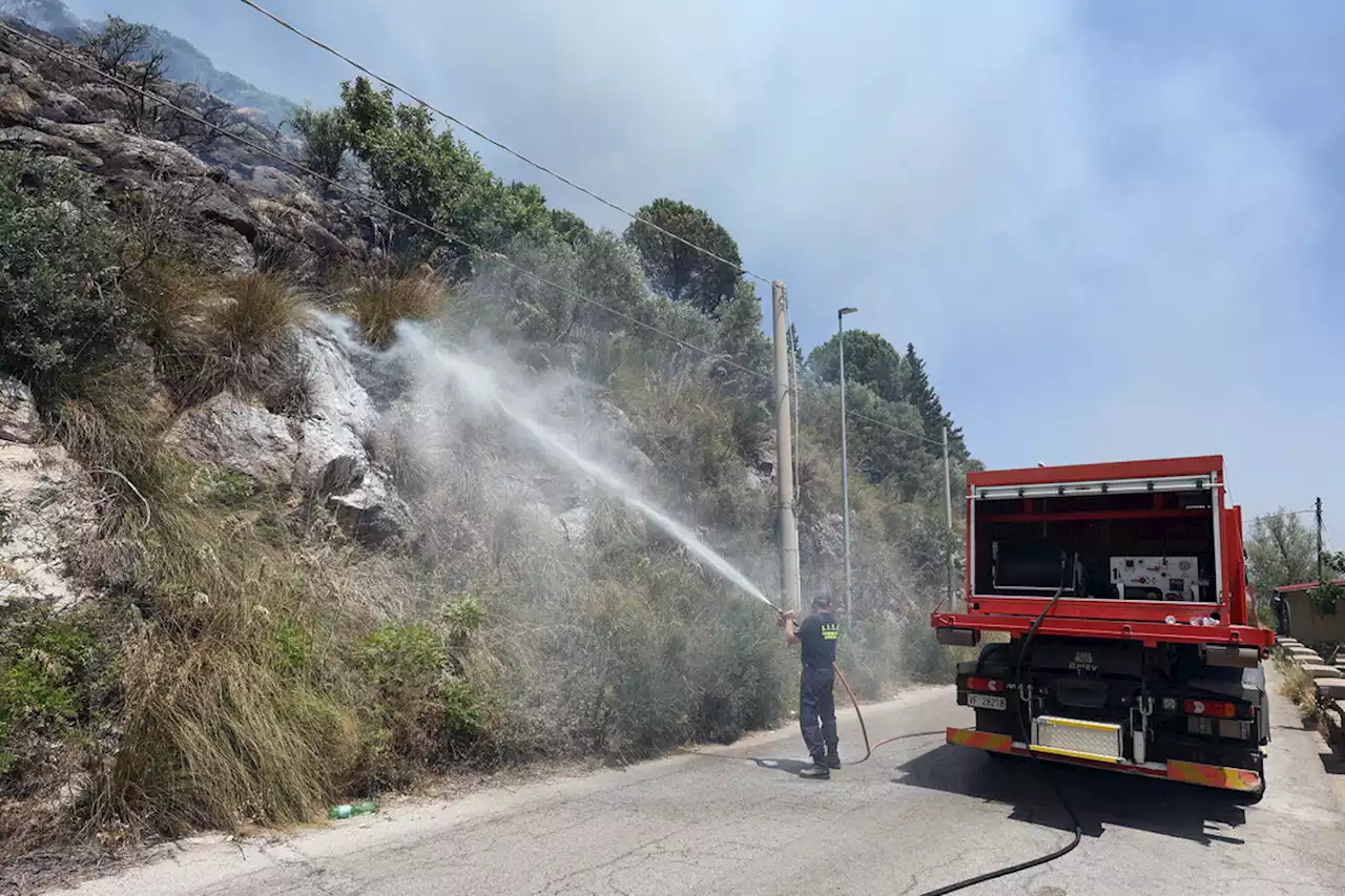 Palermo, bruciano le colline: fiamme minacciano le case