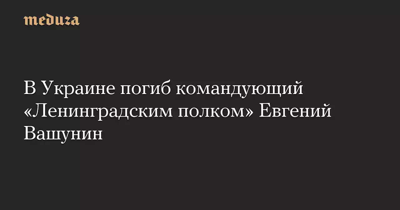 В Украине погиб командующий «Ленинградским полком» Евгений Вашунин — Meduza