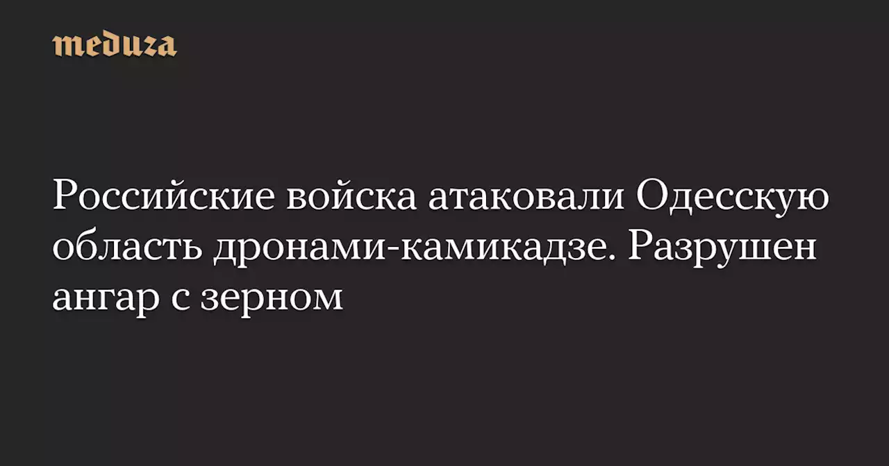 Российские войска атаковали Одесскую область дронами-камикадзе. Разрушен ангар с зерном — Meduza