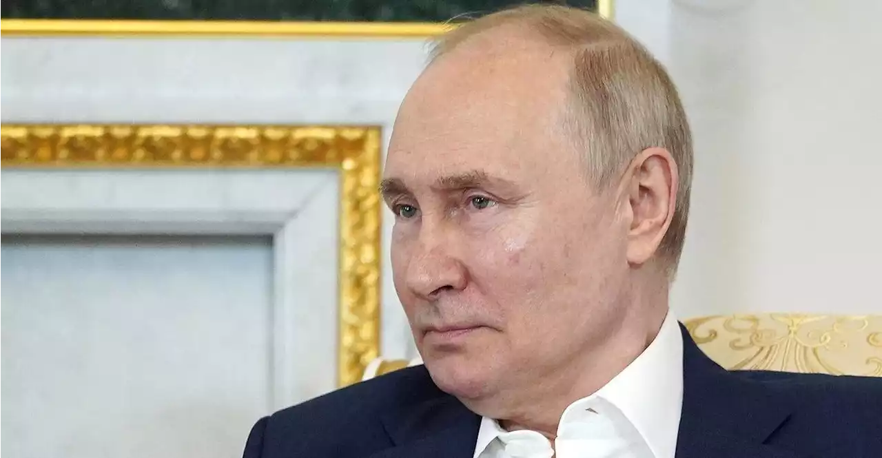 Putin verbietet 'Geschlechtsumwandlungen' in Russland